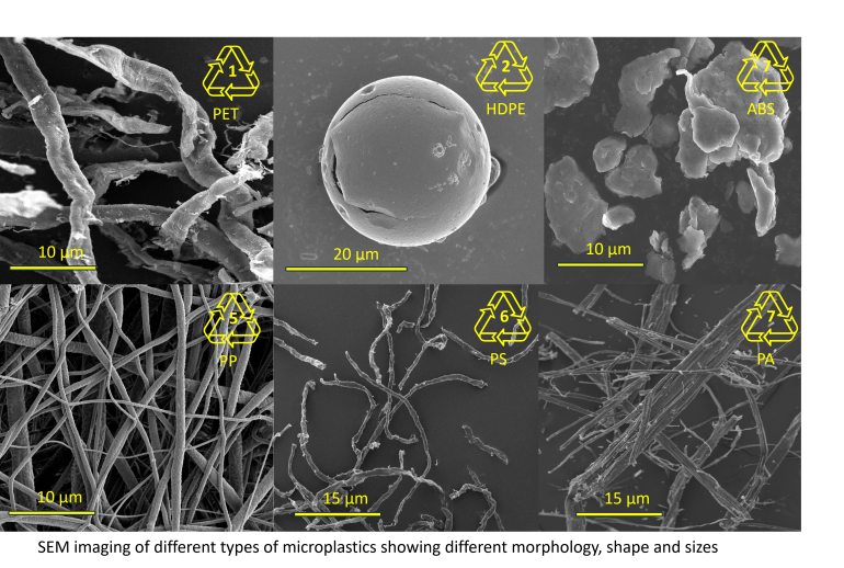 Scanning electrion microscope (SEM) images of microplastics from Sustainable Communities and Waste Hub